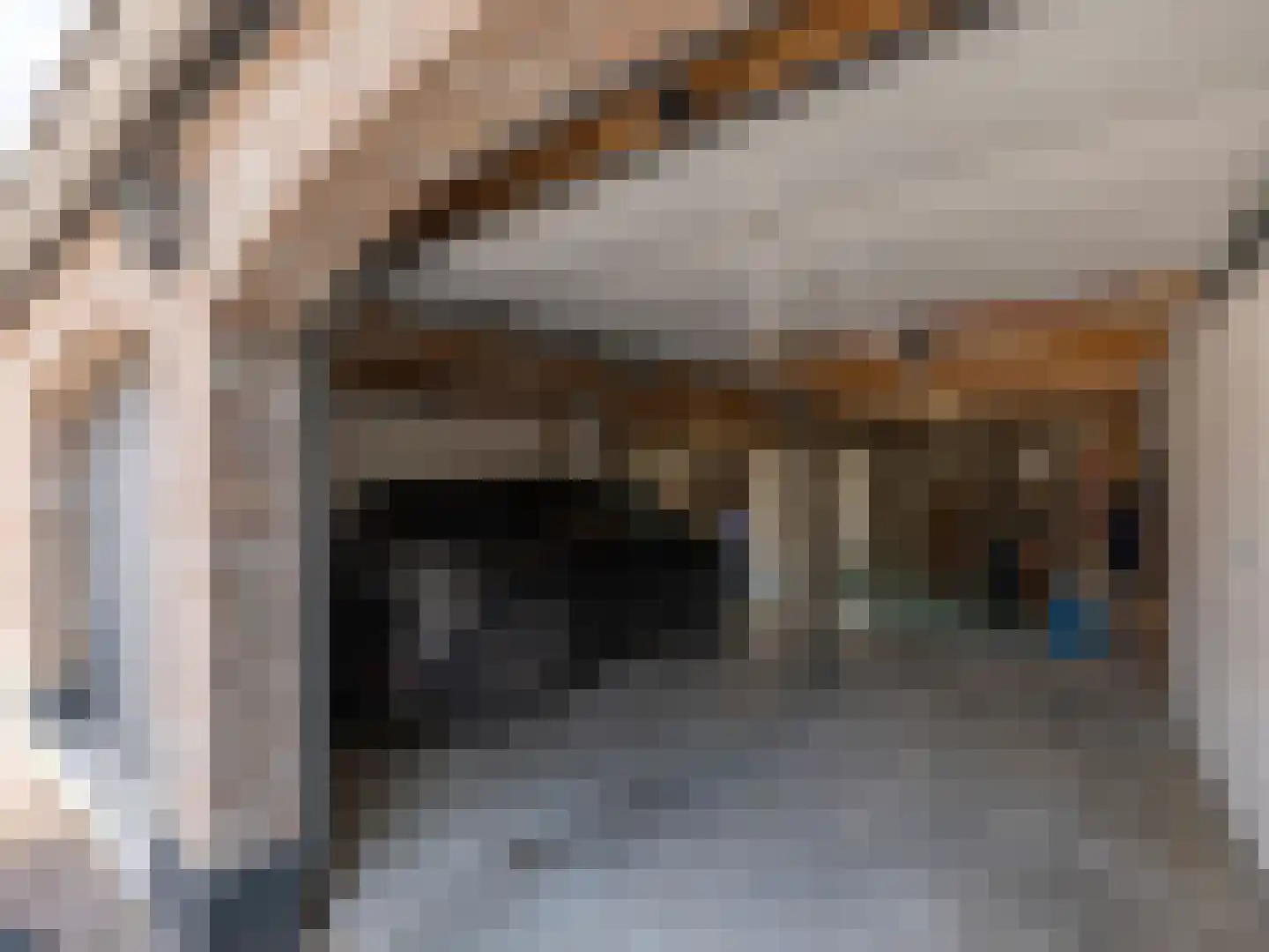 Brandestraat 30 Geertruidenberg thumbnail 31