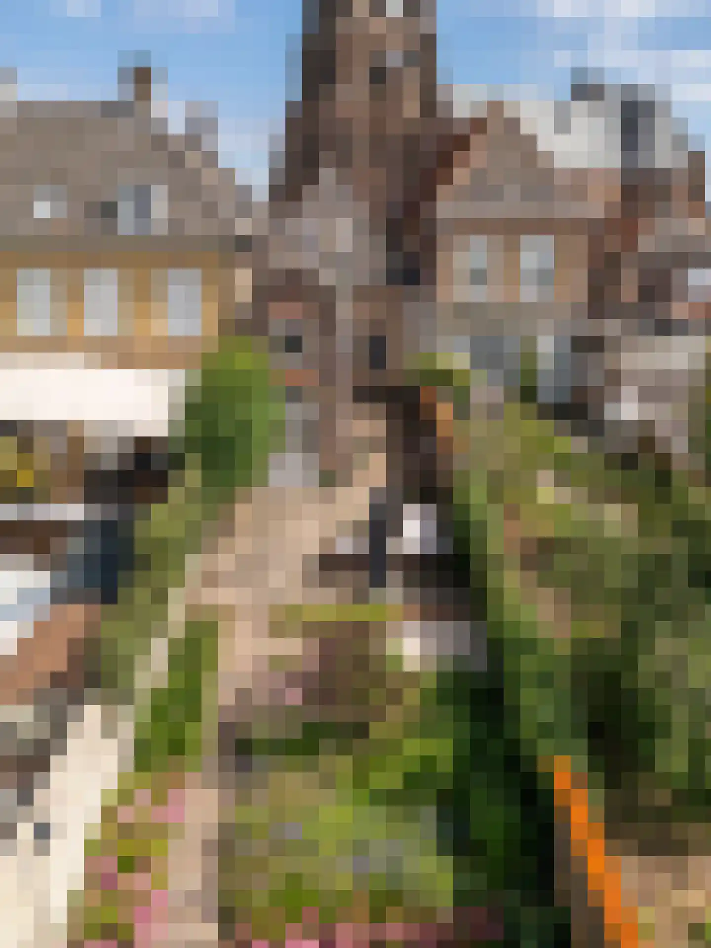 Brandestraat 30 Geertruidenberg thumbnail 37