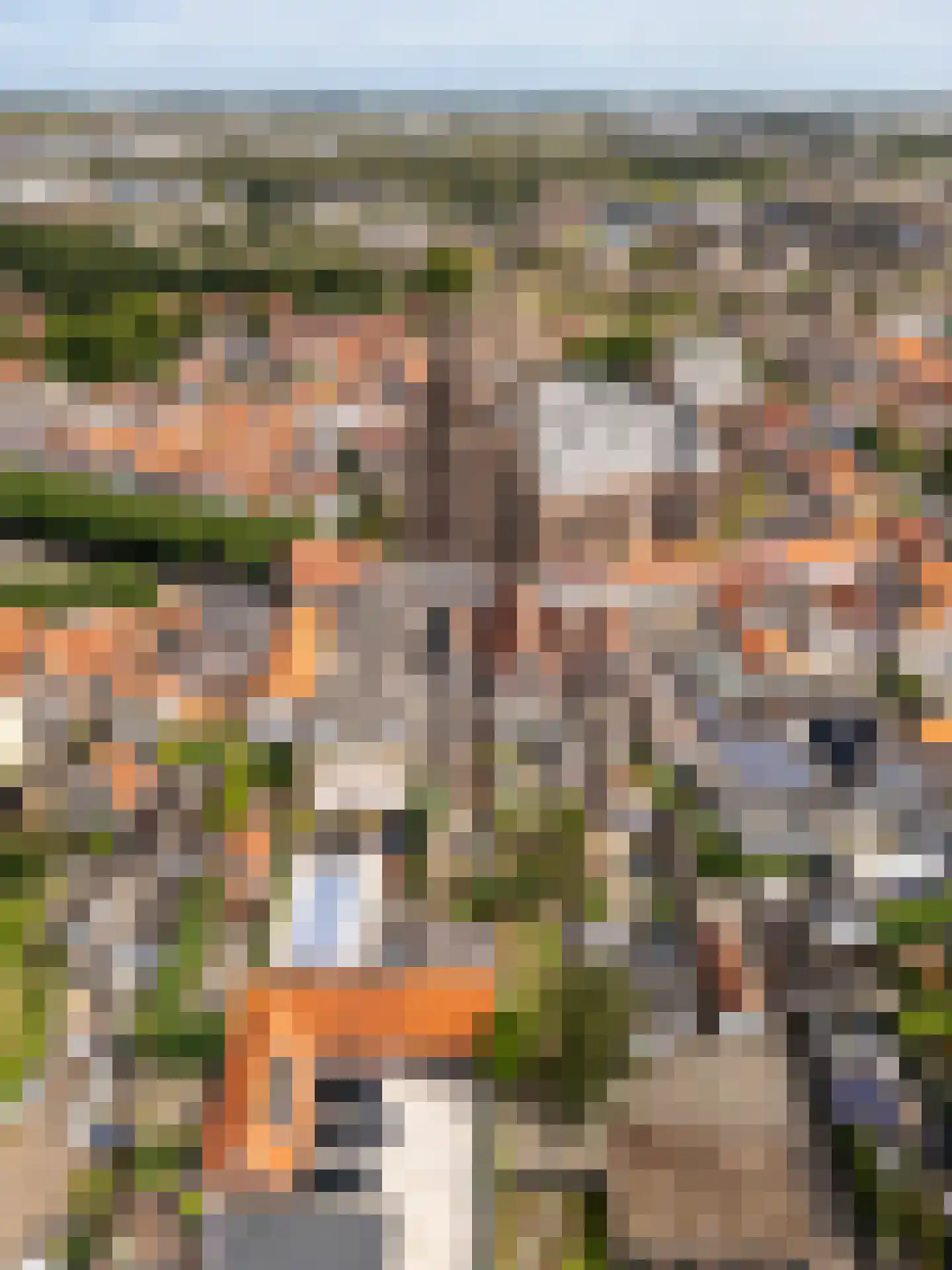 Brandestraat 30 Geertruidenberg thumbnail 41