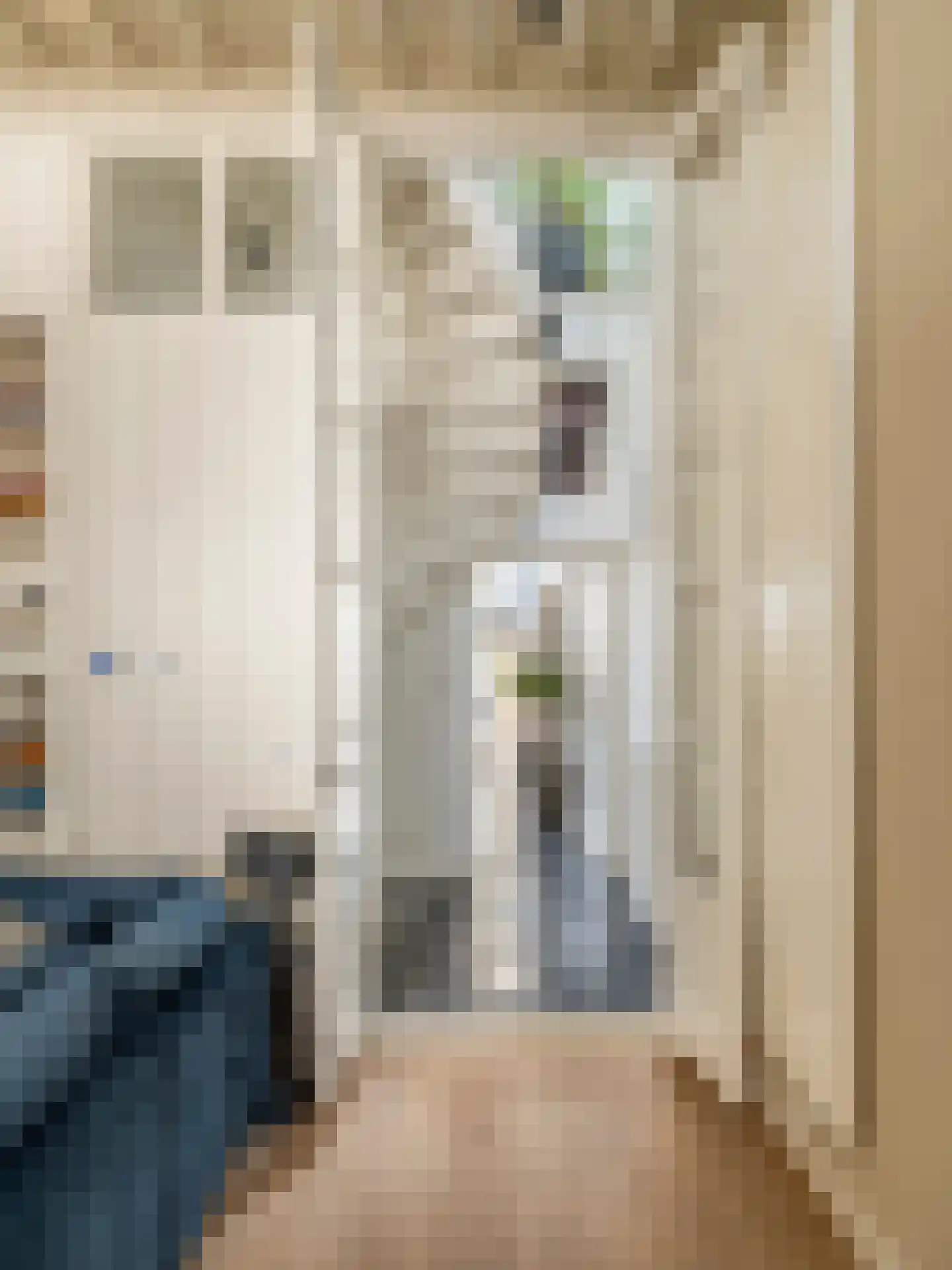 Brandestraat 30 Geertruidenberg thumbnail 9
