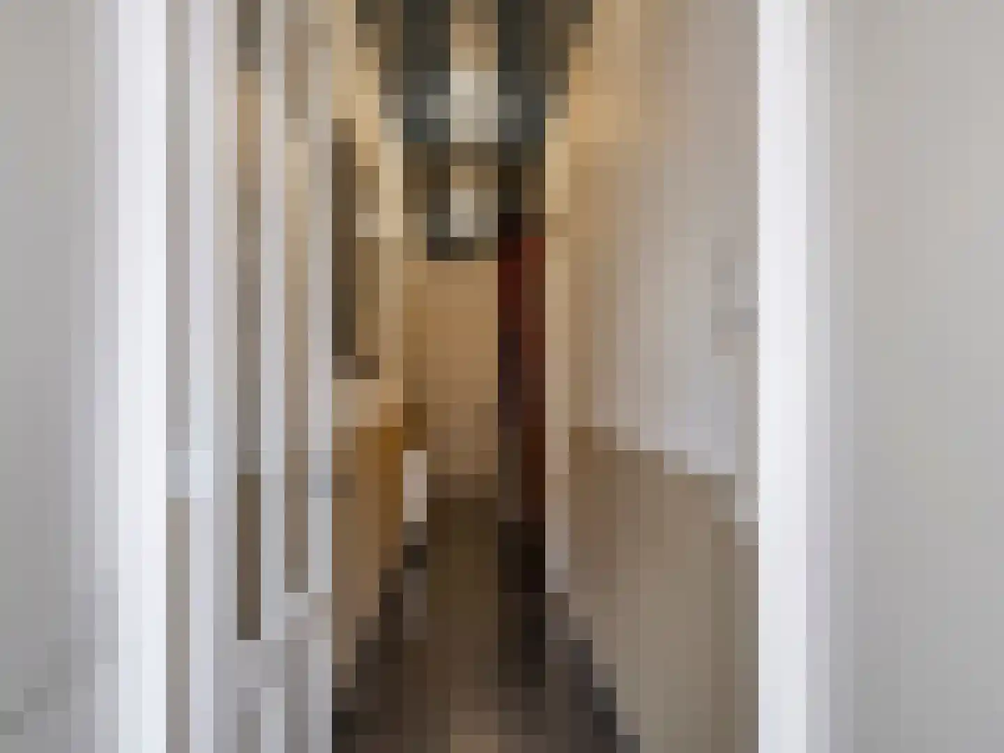 Brandestraat 34 Geertruidenberg thumbnail 10