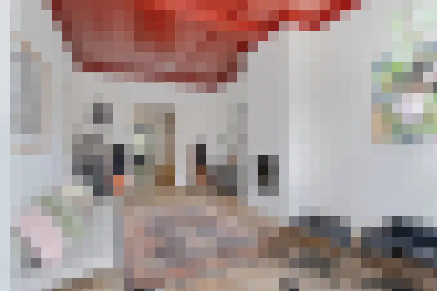 Brandestraat 34 Geertruidenberg thumbnail 13