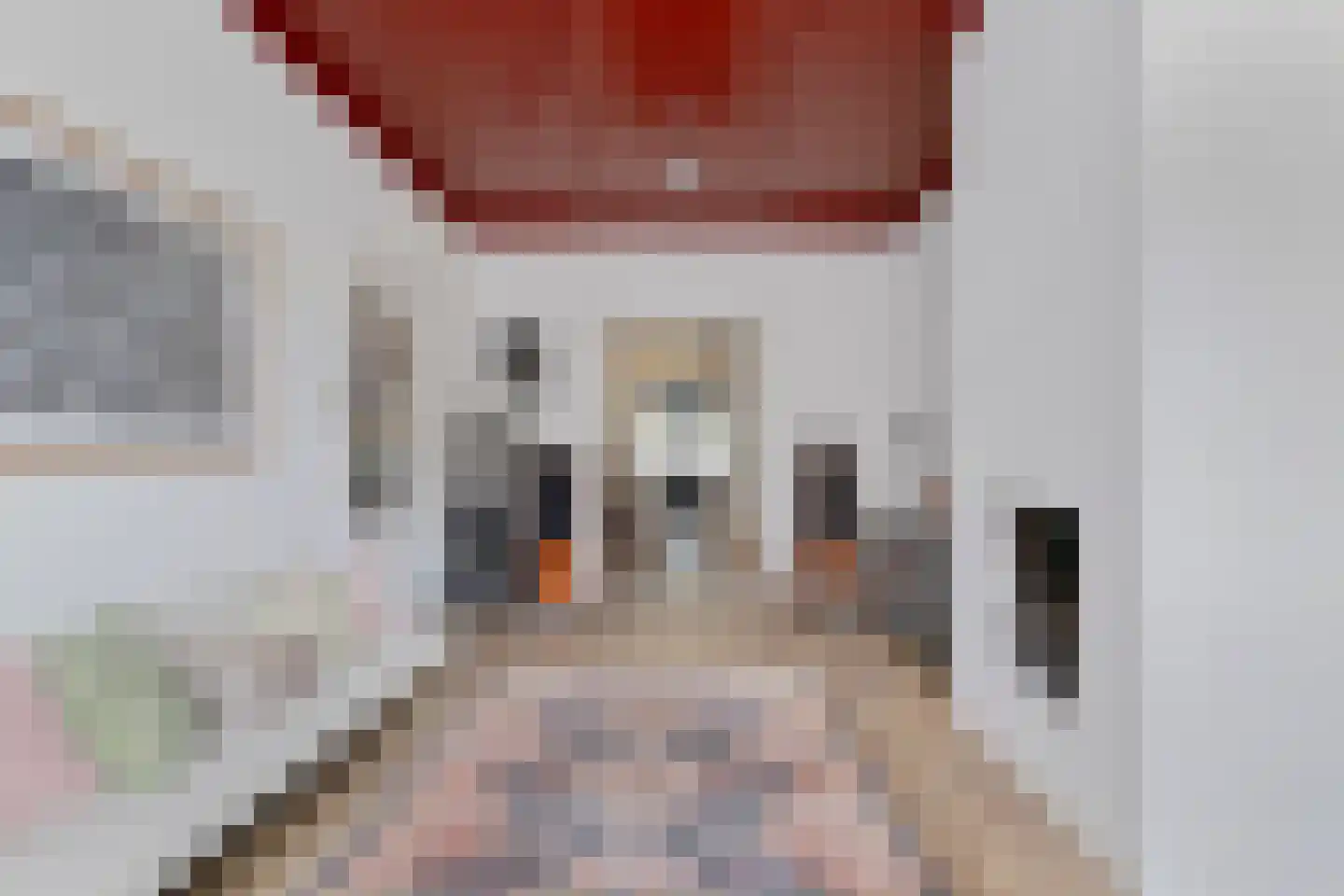 Brandestraat 34 Geertruidenberg thumbnail 14