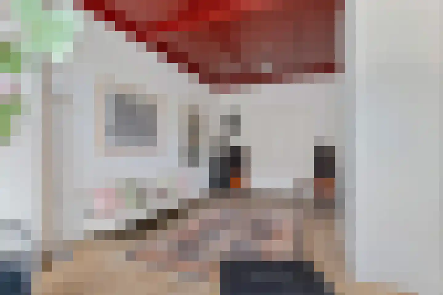 Brandestraat 34 Geertruidenberg thumbnail 15