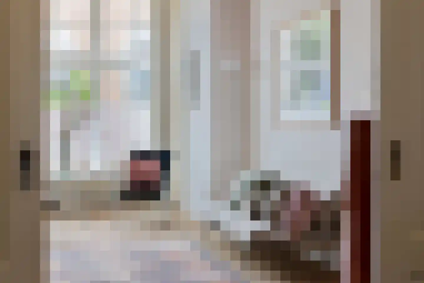 Brandestraat 34 Geertruidenberg thumbnail 18
