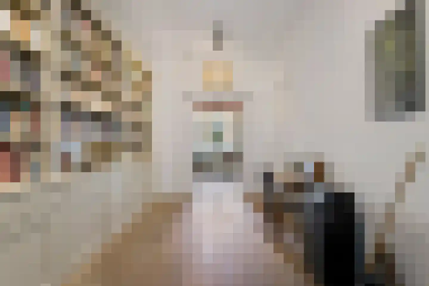 Brandestraat 34 Geertruidenberg thumbnail 22