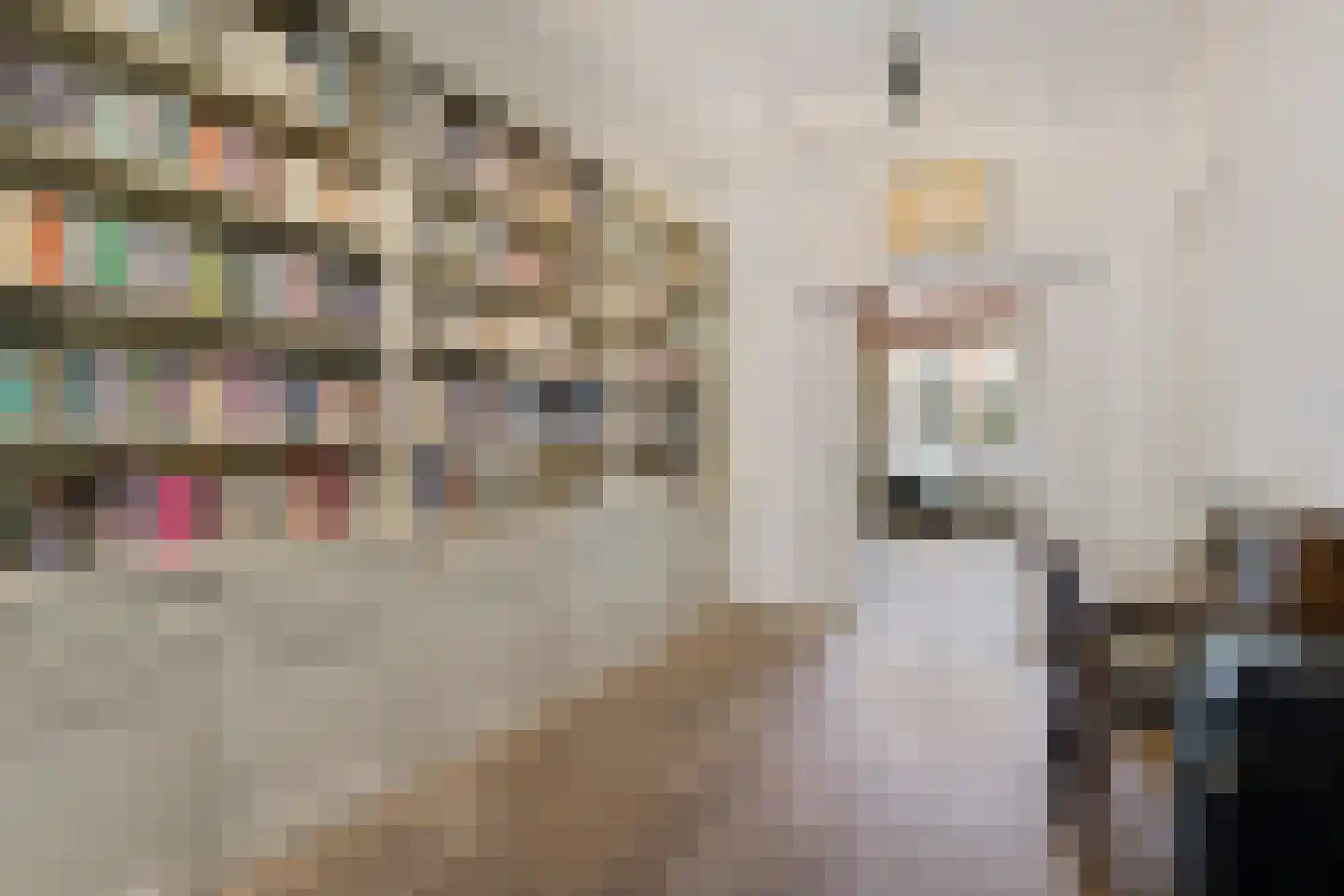 Brandestraat 34 Geertruidenberg thumbnail 23