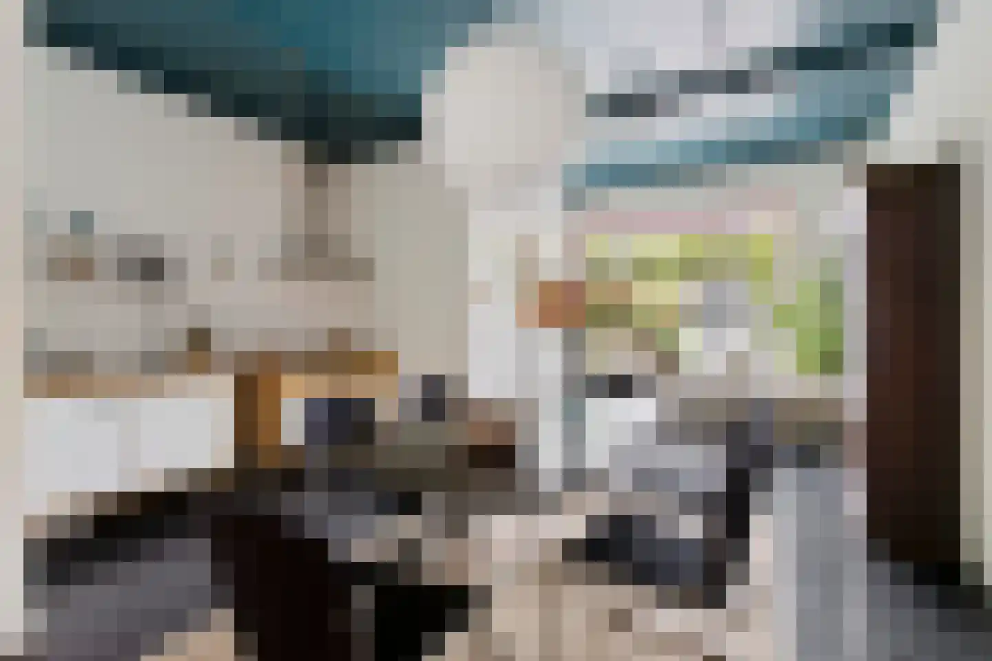 Brandestraat 34 Geertruidenberg thumbnail 27