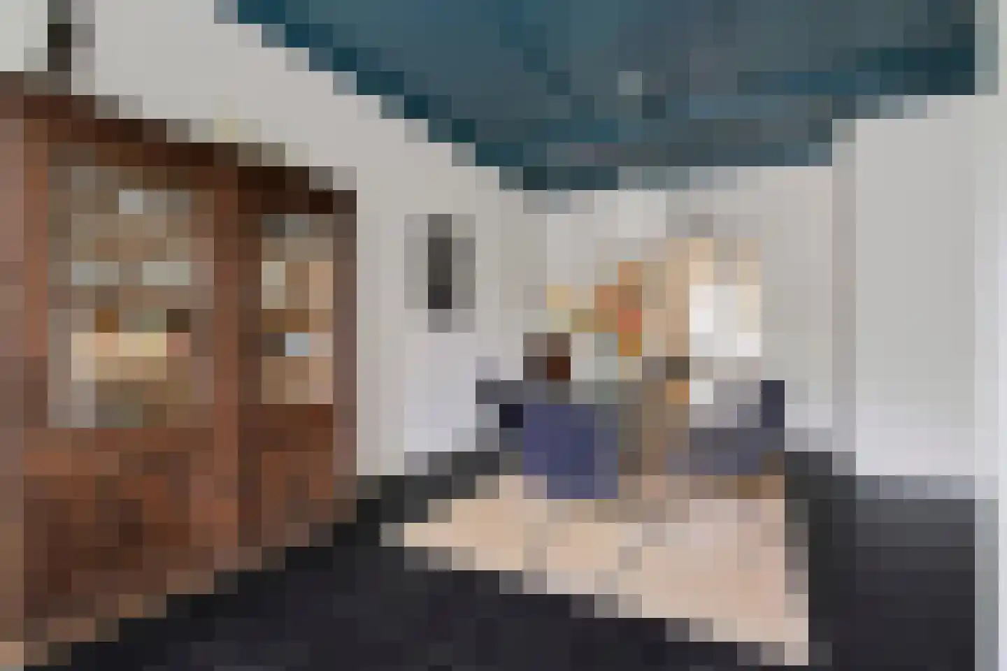 Brandestraat 34 Geertruidenberg thumbnail 30