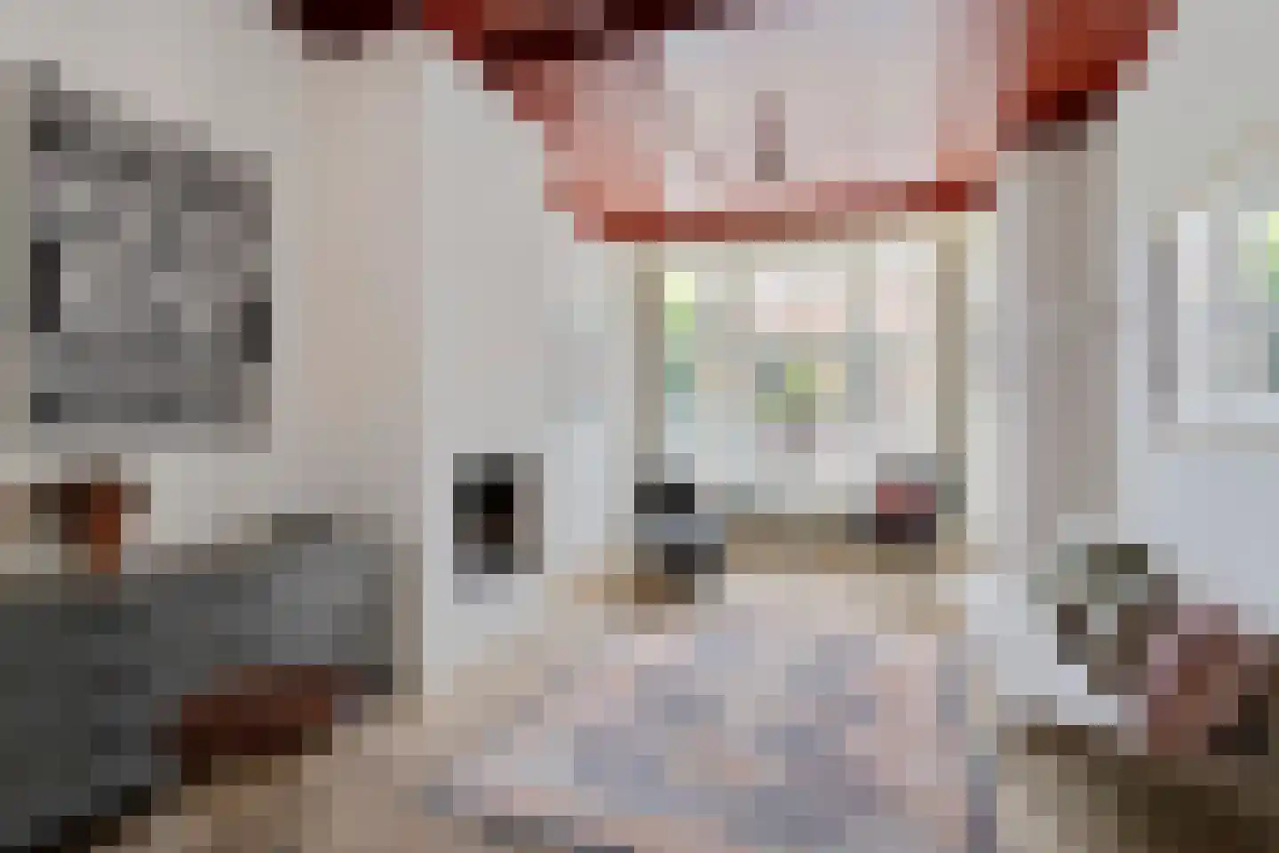 Brandestraat 34 Geertruidenberg thumbnail 4