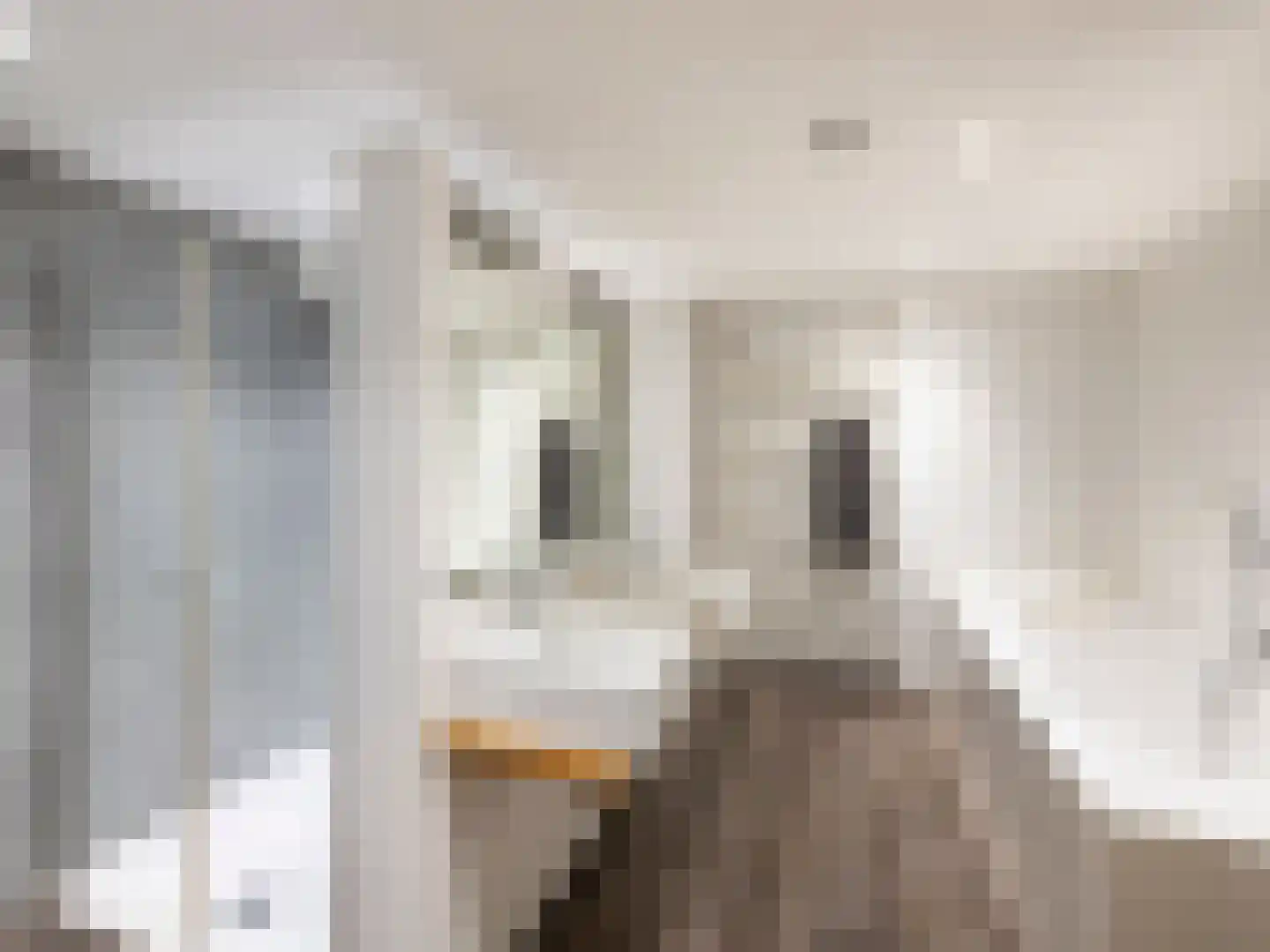 Brandestraat 34 Geertruidenberg thumbnail 43