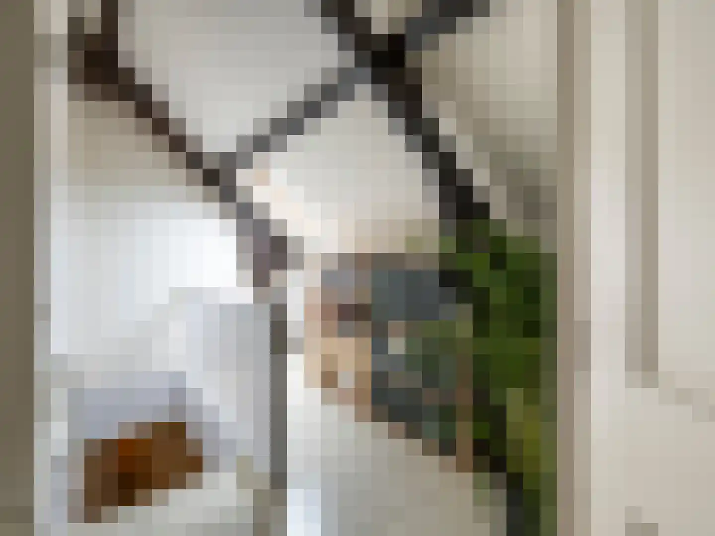 Brandestraat 34 Geertruidenberg thumbnail 45