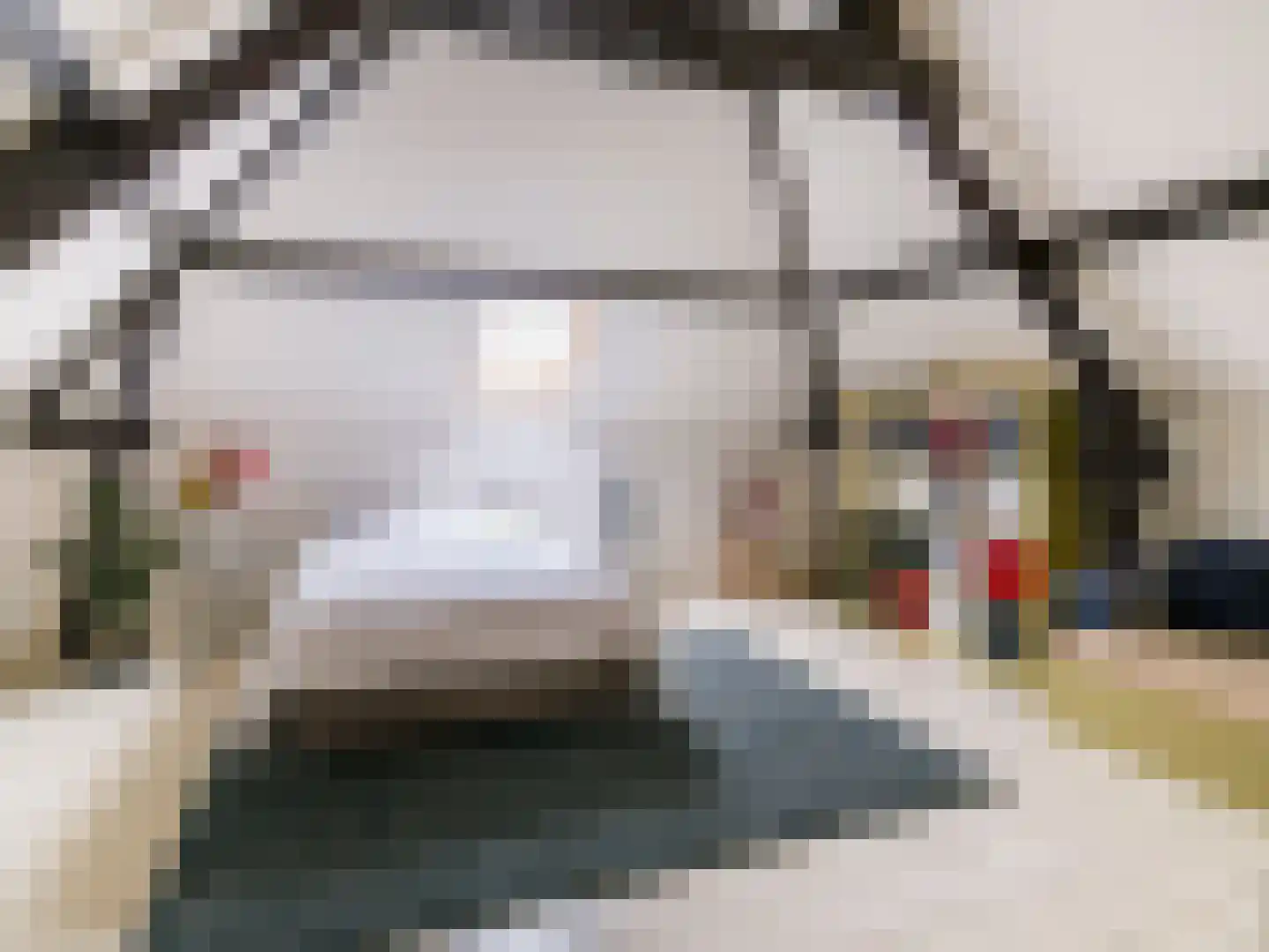 Brandestraat 34 Geertruidenberg thumbnail 46