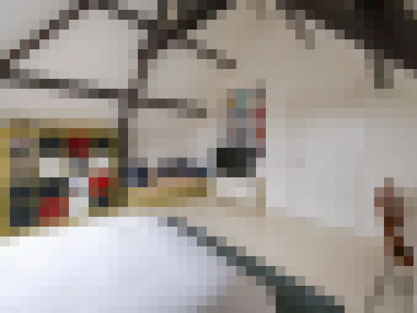 Brandestraat 34 Geertruidenberg thumbnail 47