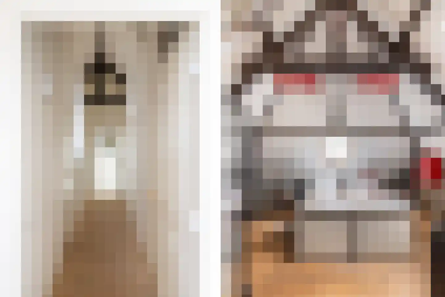 Brandestraat 34 Geertruidenberg thumbnail 48