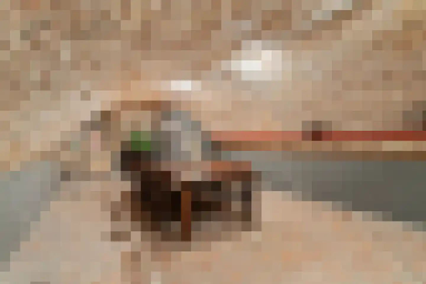 Brandestraat 34 Geertruidenberg thumbnail 5