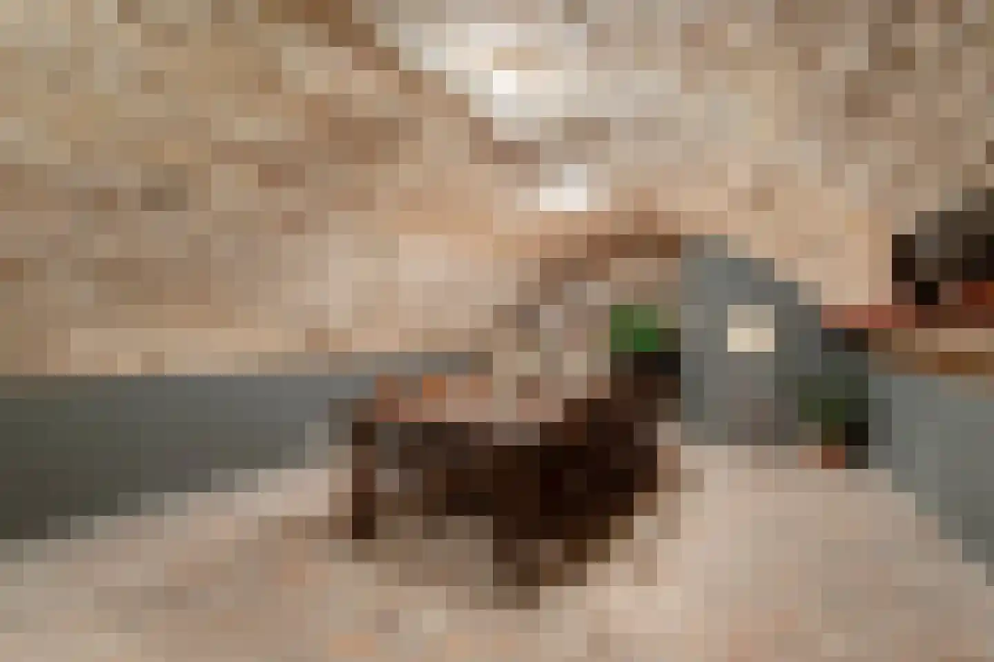 Brandestraat 34 Geertruidenberg thumbnail 51