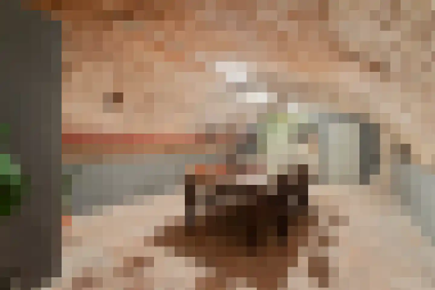 Brandestraat 34 Geertruidenberg thumbnail 53