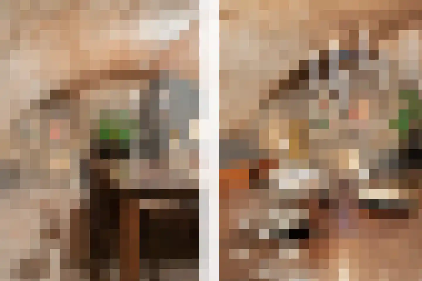 Brandestraat 34 Geertruidenberg thumbnail 54