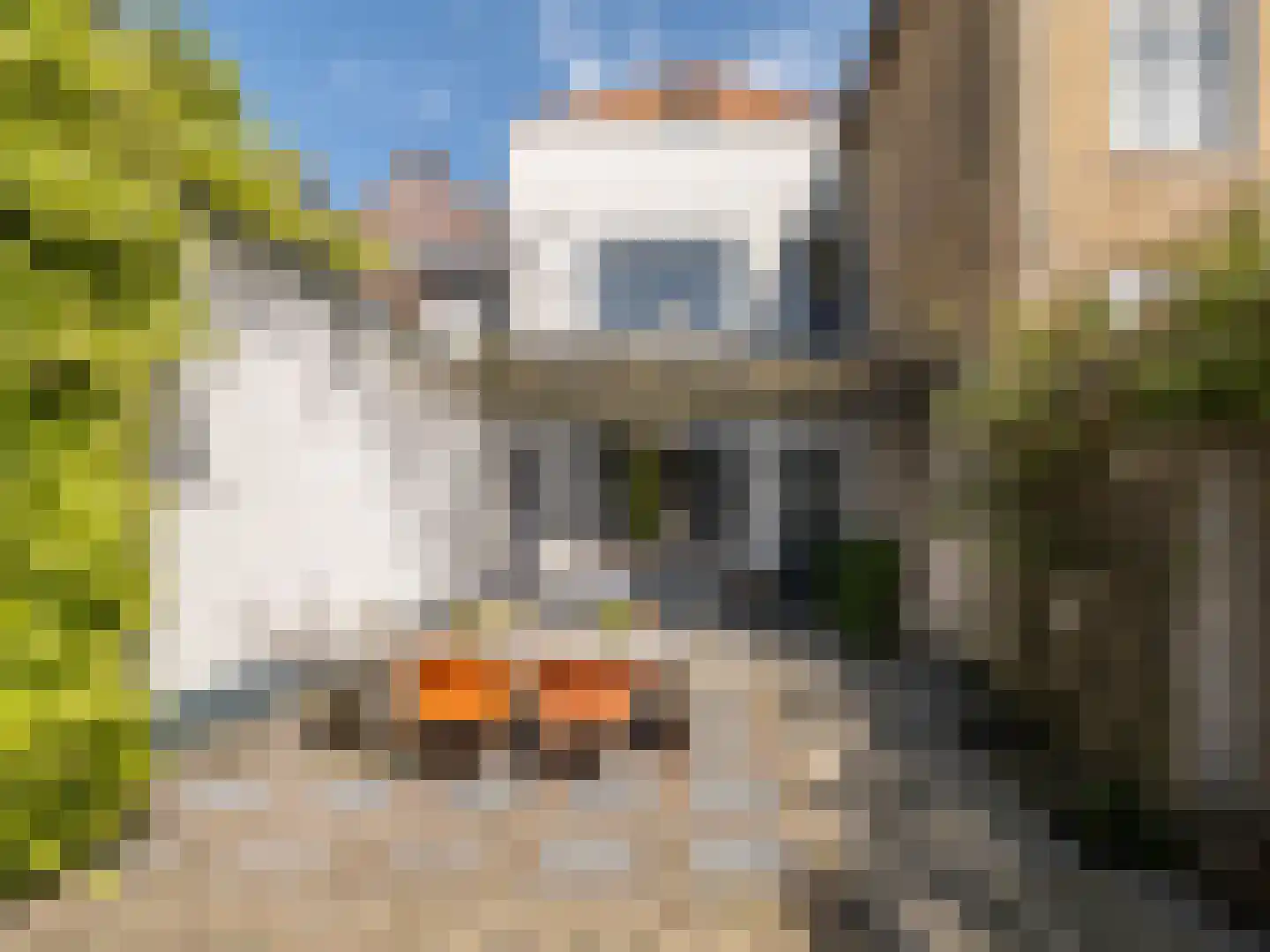 Brandestraat 34 Geertruidenberg thumbnail 55