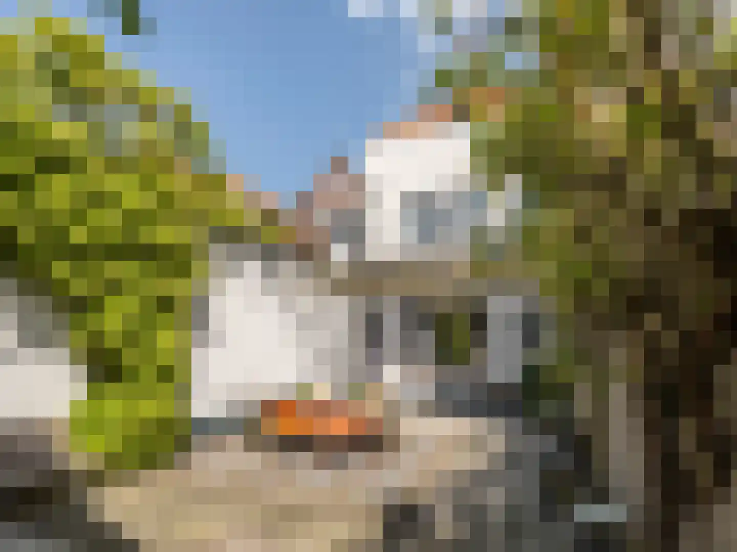 Brandestraat 34 Geertruidenberg thumbnail 56