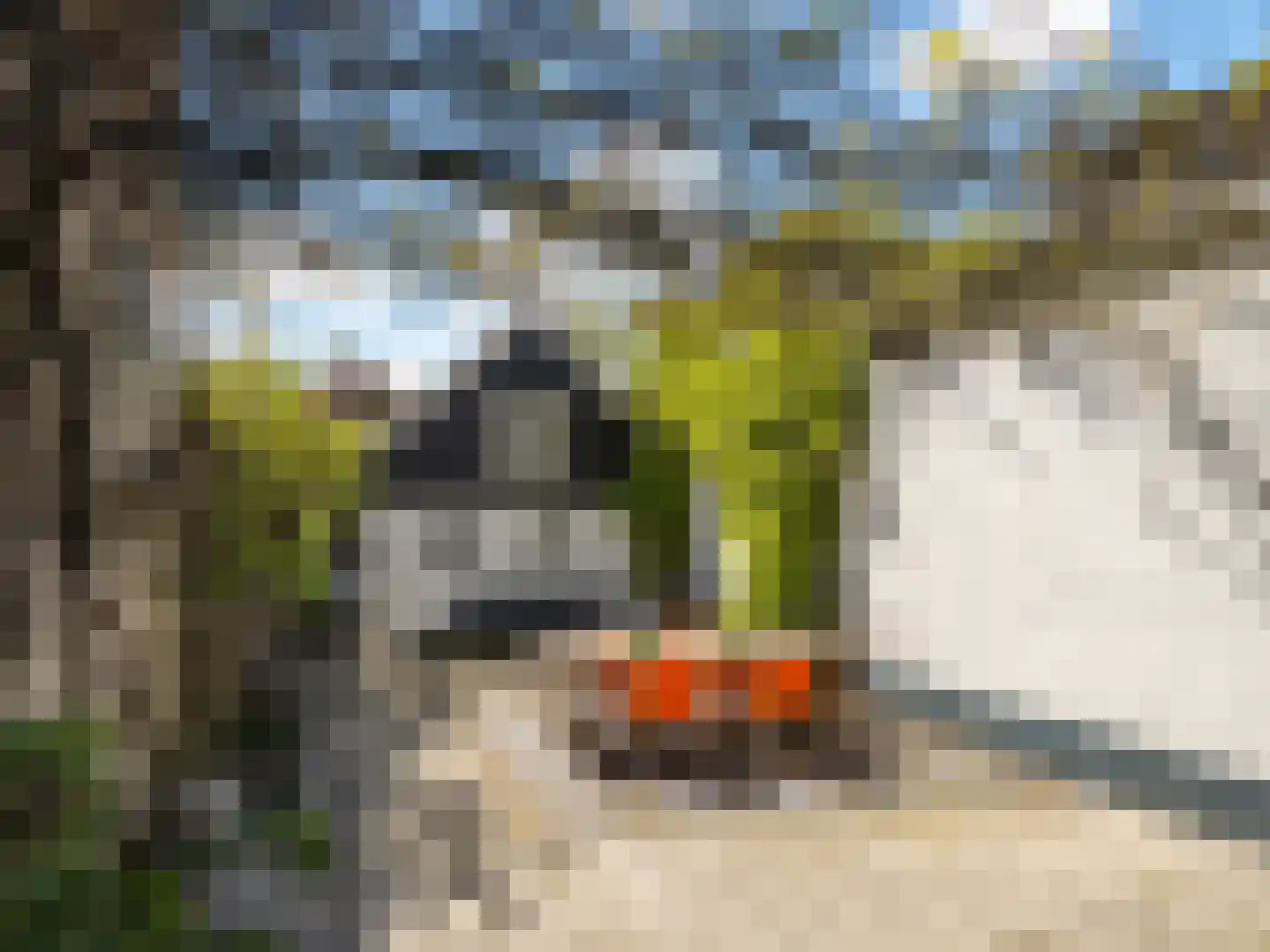 Brandestraat 34 Geertruidenberg thumbnail 57