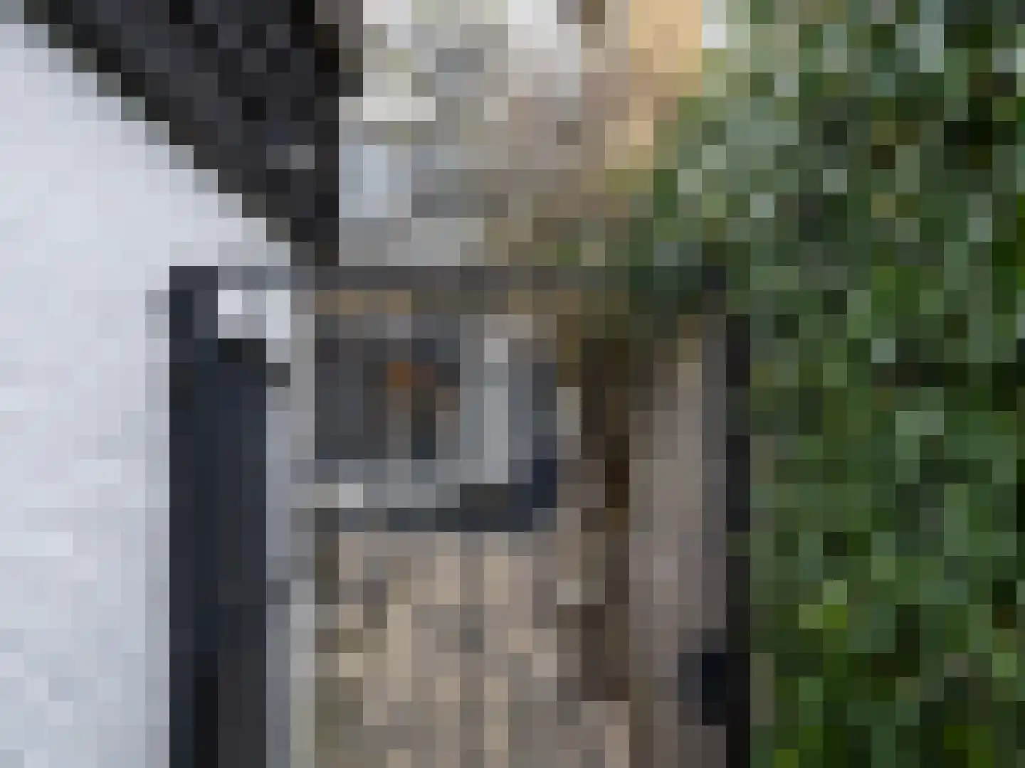 Brandestraat 34 Geertruidenberg thumbnail 58