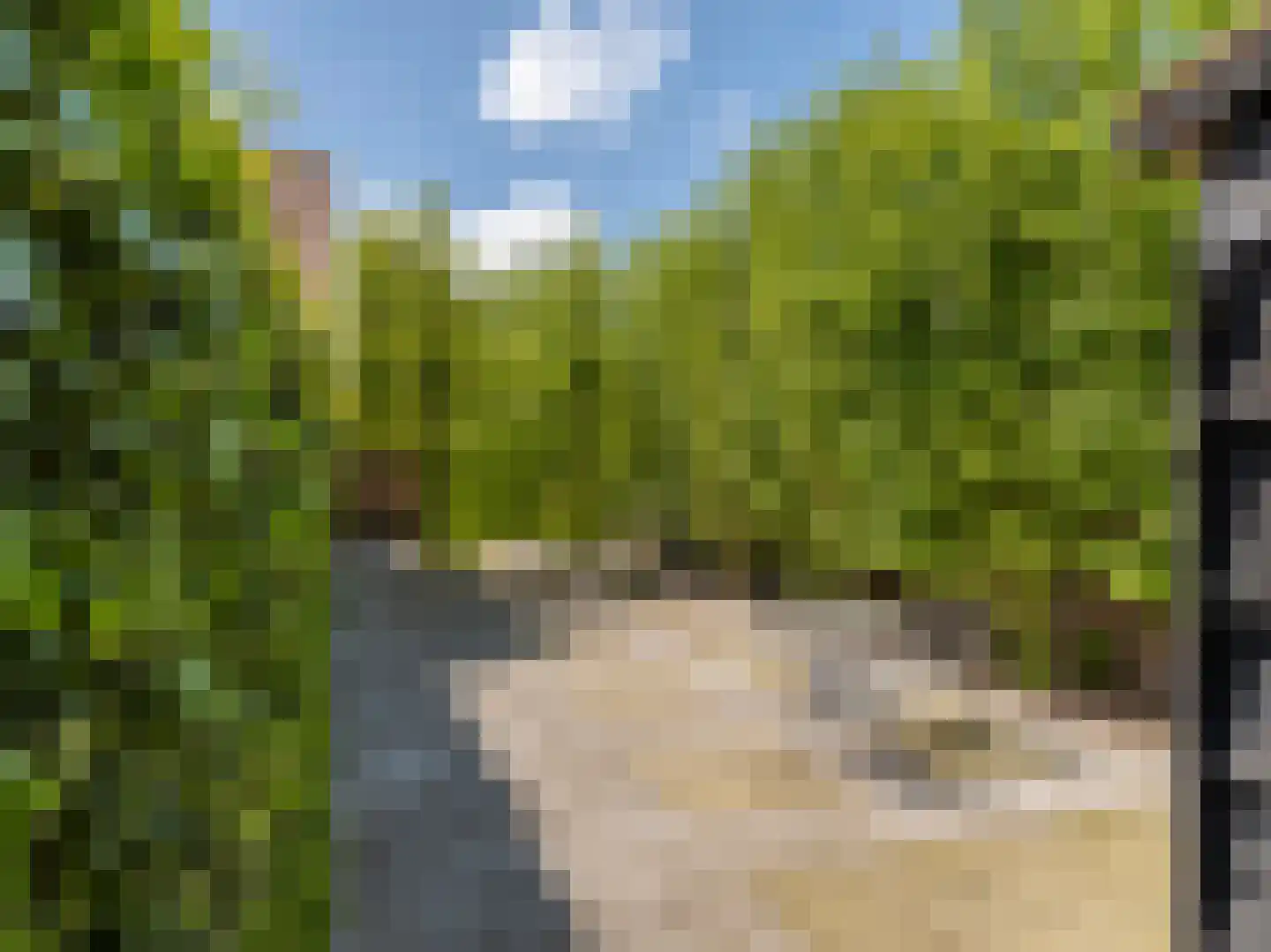 Brandestraat 34 Geertruidenberg thumbnail 61