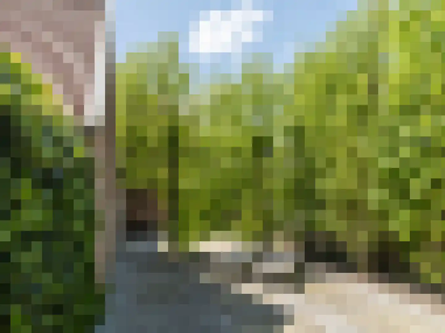 Brandestraat 34 Geertruidenberg thumbnail 62