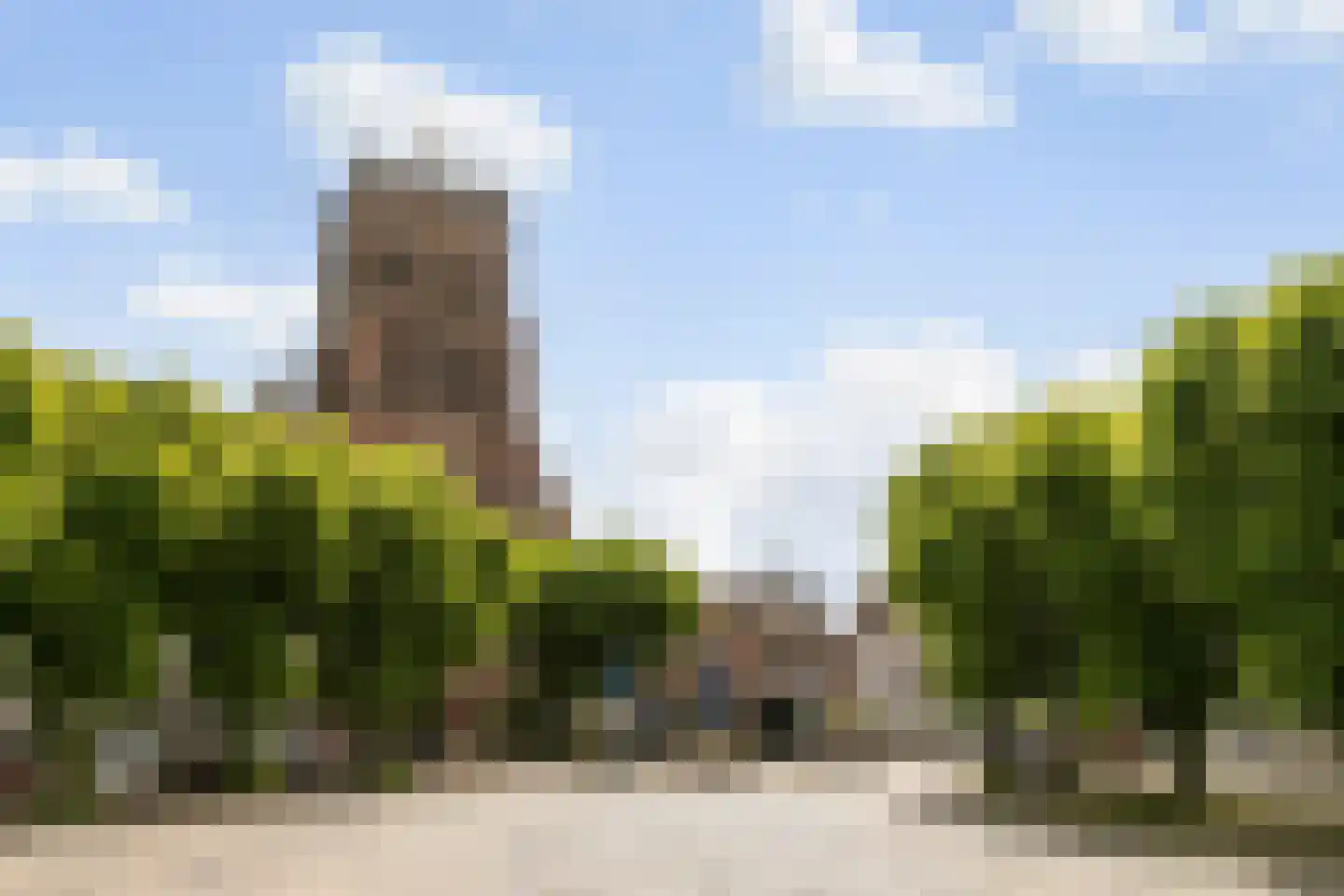 Brandestraat 34 Geertruidenberg thumbnail 64