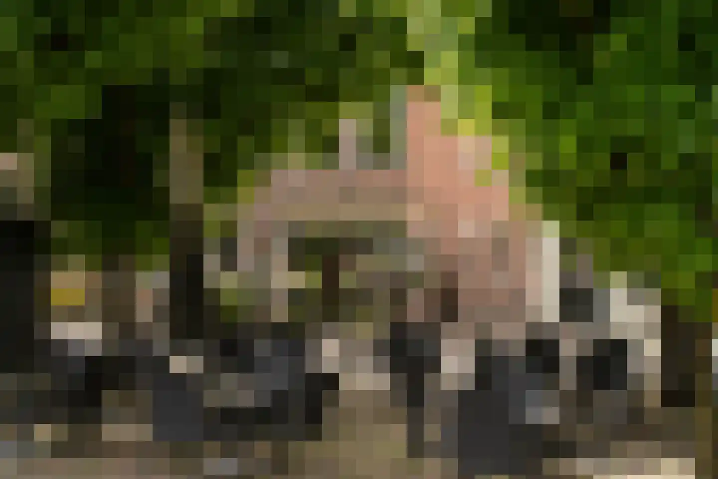 Brandestraat 34 Geertruidenberg thumbnail 66