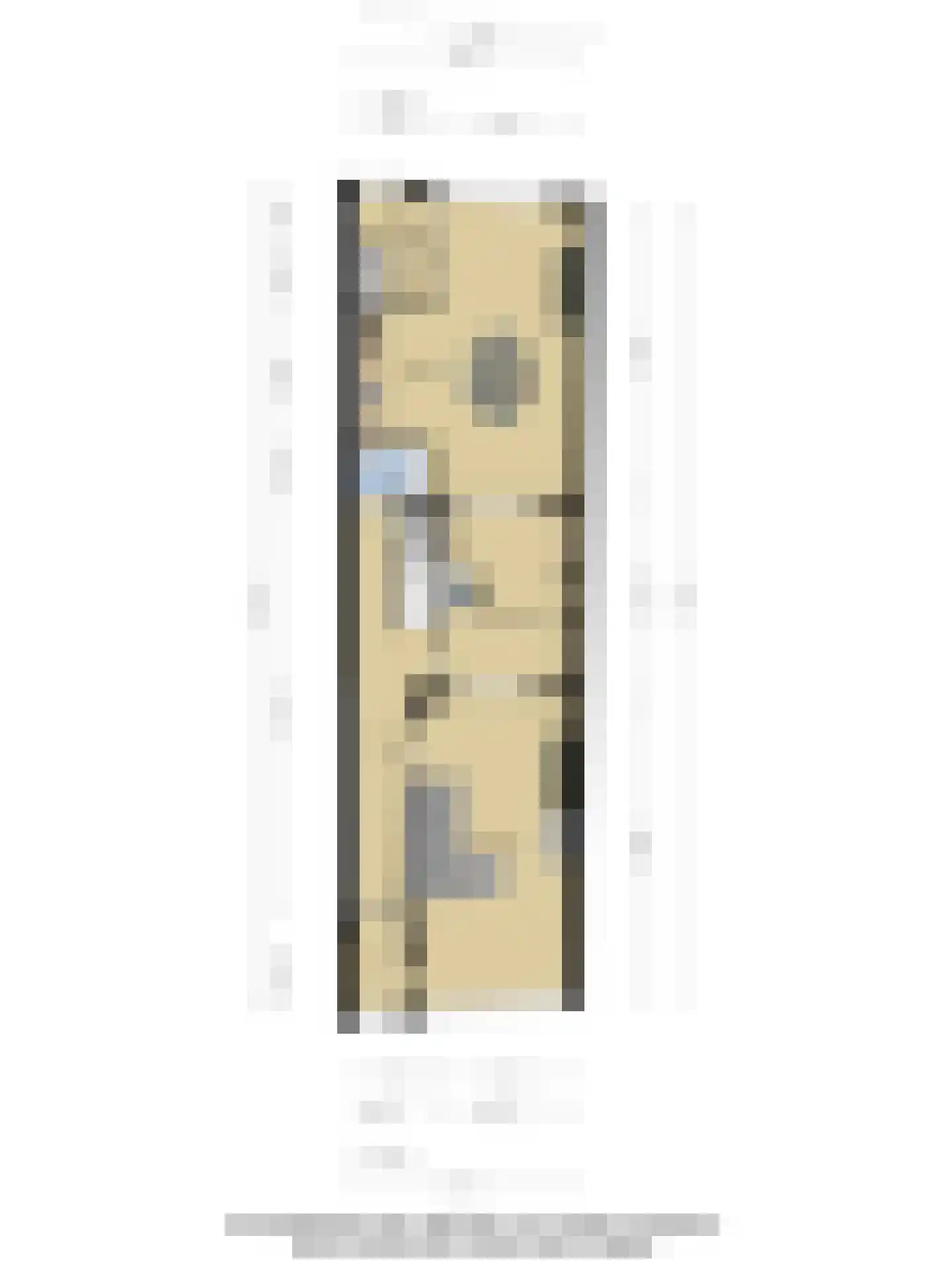 Brandestraat 34 Geertruidenberg thumbnail 69