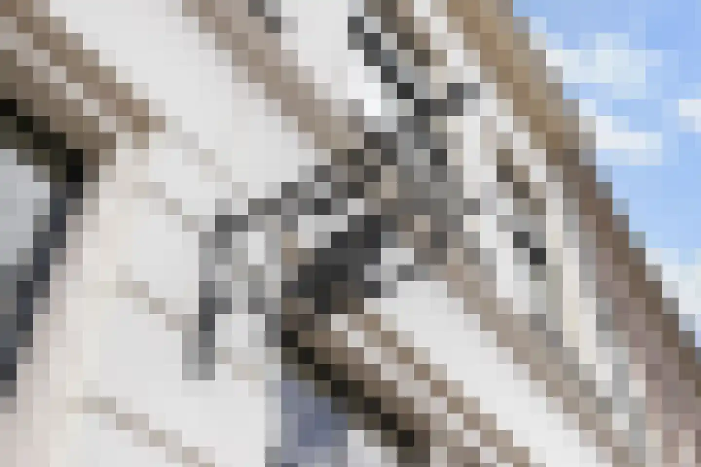 Brandestraat 34 Geertruidenberg thumbnail 7