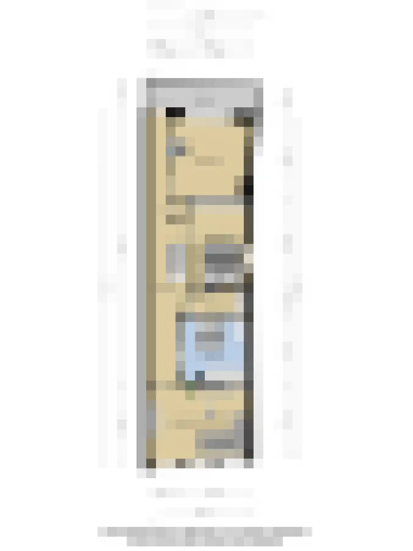 Brandestraat 34 Geertruidenberg thumbnail 70