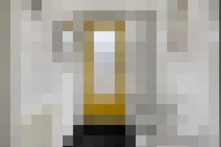 Brandewijnpad 1 Schiedam thumbnail 15