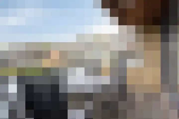 Brandewijnpad 1 Schiedam thumbnail 23