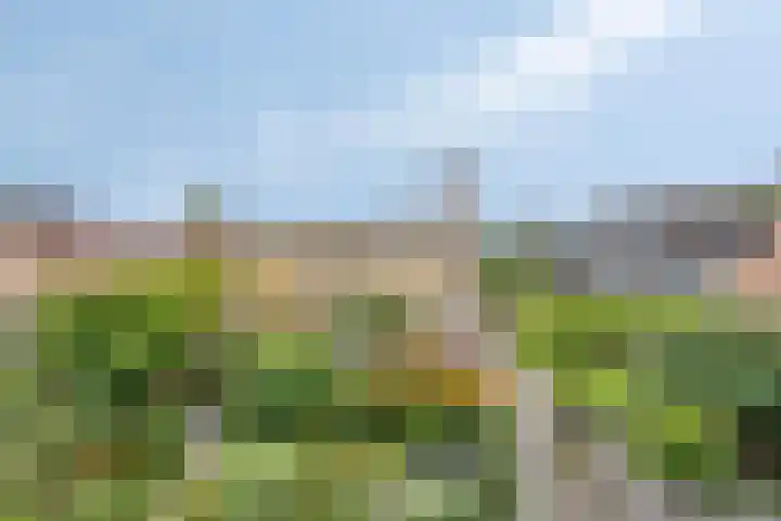 Brandewijnpad 1 Schiedam thumbnail 24