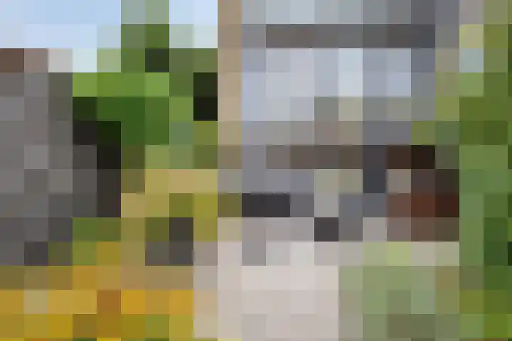 Brandewijnpad 1 Schiedam thumbnail 27