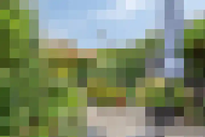 Brandewijnpad 1 Schiedam thumbnail 28