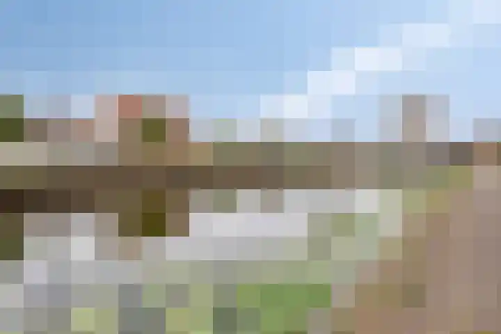 Brandewijnpad 1 Schiedam thumbnail 29