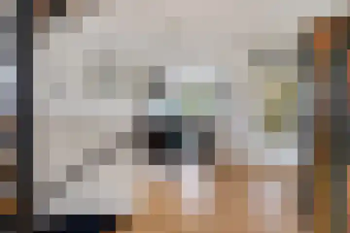 Brandewijnpad 1 Schiedam thumbnail 5
