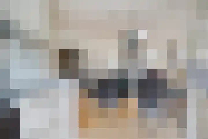 Brandewijnpad 1 Schiedam thumbnail 6