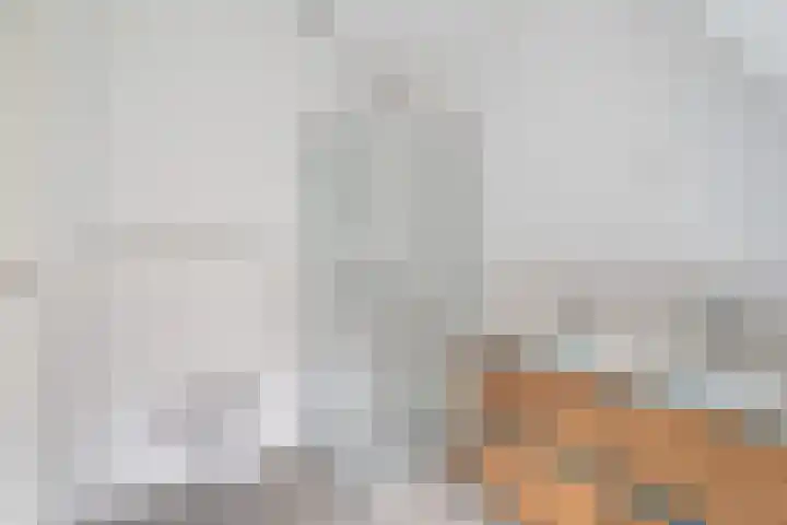 Brandewijnsgracht 4 Leiden thumbnail 5