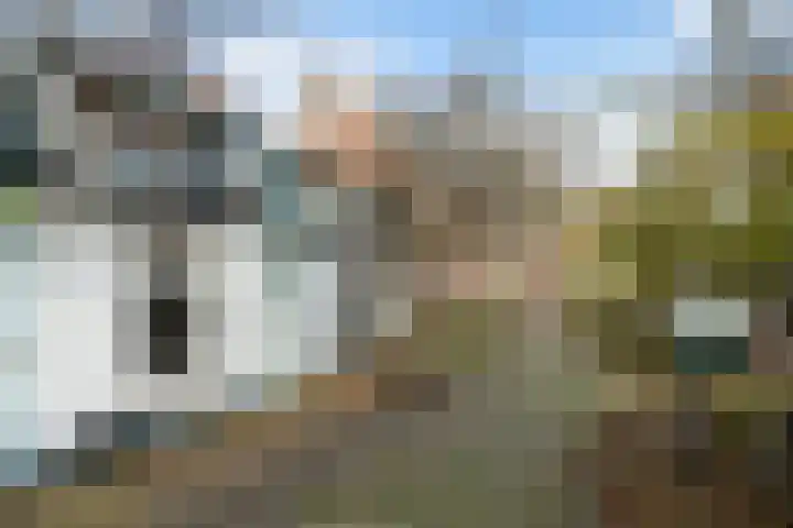 Brandewijnsgracht 4 Leiden thumbnail 6