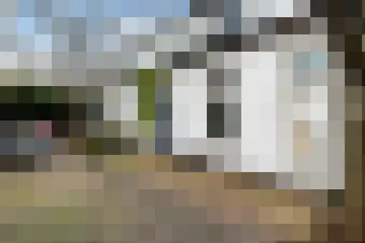 Brandewijnsgracht 4 Leiden thumbnail 7