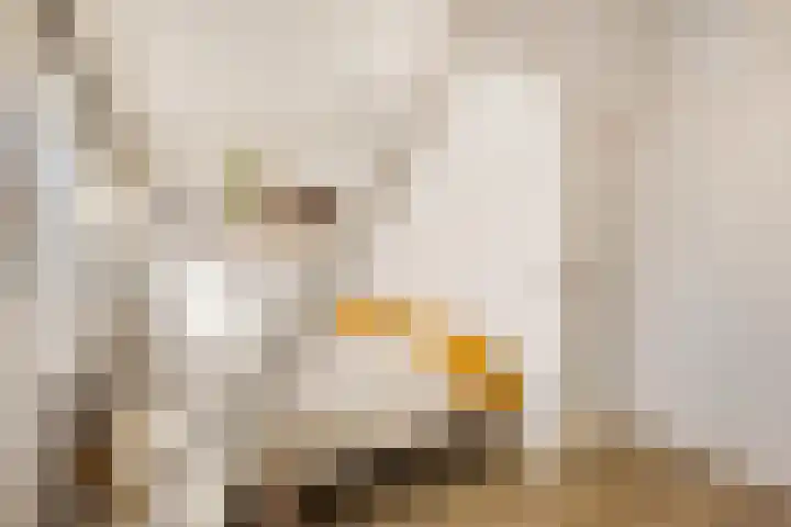 Brandewijnsgracht 6 Leiden thumbnail 17