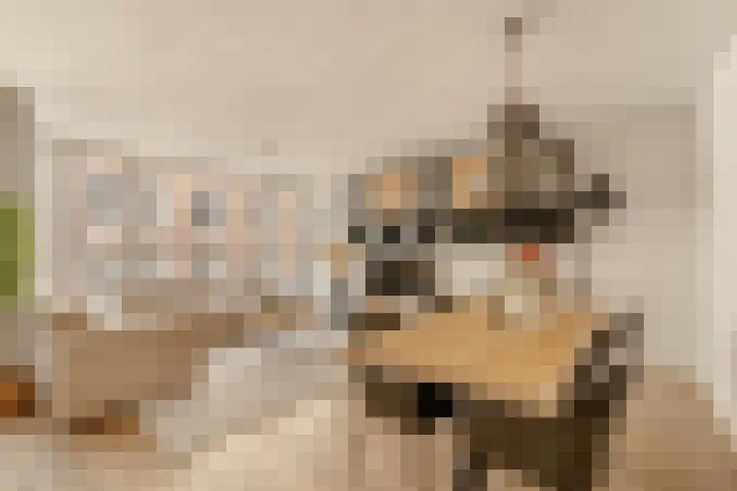 Brandewijnsteeg 29 Amsterdam thumbnail 11
