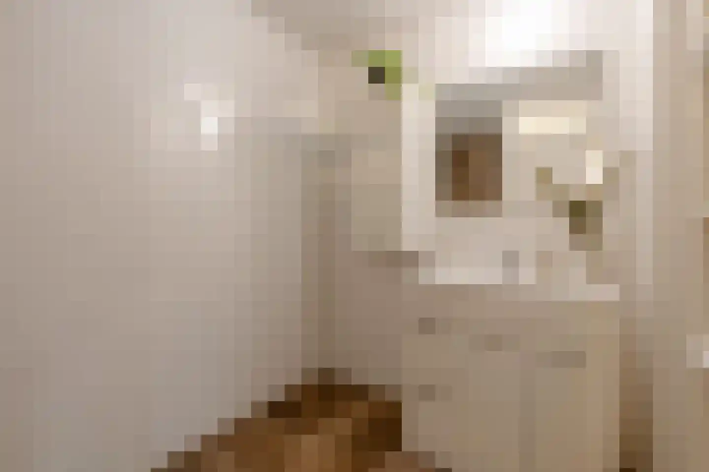 Brandewijnsteeg 29 Amsterdam thumbnail 22