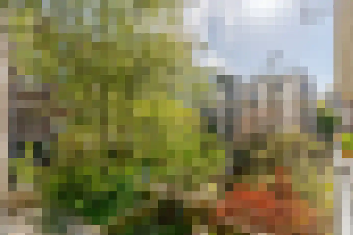 Brandewijnsteeg 29 Amsterdam thumbnail 23