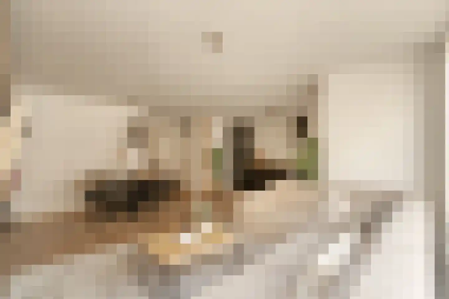 Brandewijnsteeg 29 Amsterdam thumbnail 5